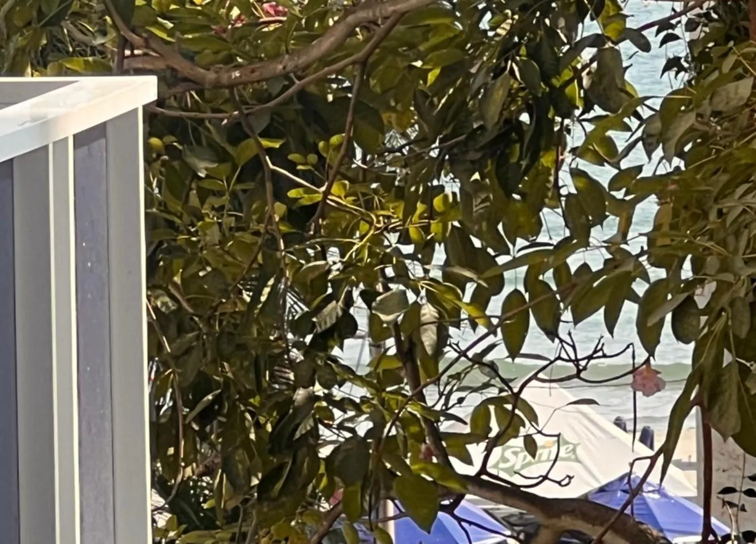 Apartamento Nuevo Conquistador Cartagena Colombia